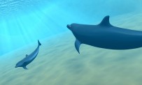 WiiWare : Seafarm plonge au Japon