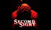 Second Sight sur PC