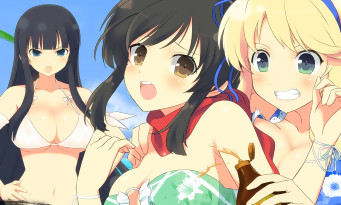 Senran Kagura Estival Versus : les combattantes aux gros lolos arrivent sur PC