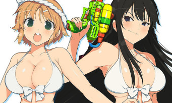 Senran Kagura Peach Beach Splash : 45 images de filles en bikini bien sexy