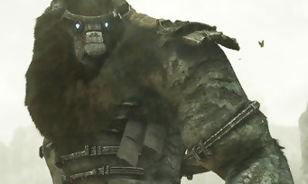 E3 2017 : un remake pour Shadow of the Colossus sur PS4, voici le trailer magnifique !