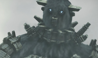 Shadow of the Colossus PS4 : Fumito Ueda espère que Sony suivra ses conseils