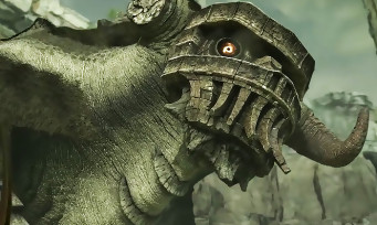 Shadow of the Colossus : découvrez les 15 premières minutes du jeu