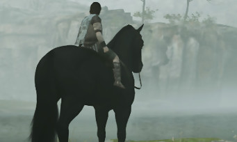 Shadow of the Colossus : un mode "Photo" confirmé dans le jeu, en voici des images sublimes