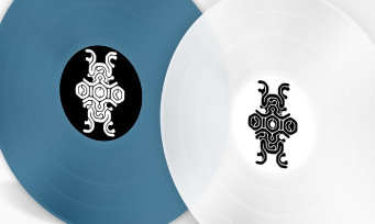 Shadow of the Colossus : un magnifique double vinyle collector aux couleurs du jeu