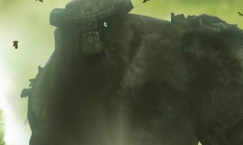Test Shadow of The Colossus