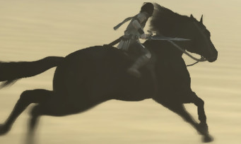 Shadow of the Colossus (PS4) : le mode Photo détaillé et commenté par les développeurs