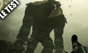 Test Shadow of the Colossus (PS4) : le chef d'oeuvre absolu sublimé