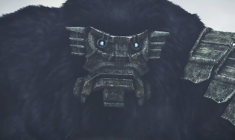 Shadow of The Colossus : un trailer de lancement épique avec les colosses les plus impressionnants