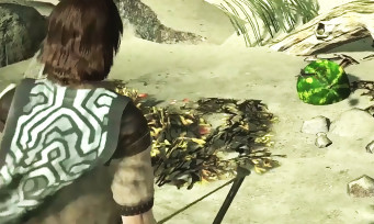 Shadow of the Colossus : un easter egg de ICO se cache dans le jeu, voici comment le trouver