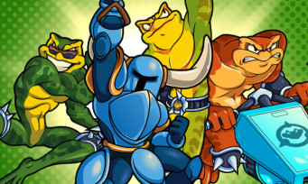 Les Battletoads dans Shovel Knight !