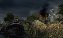 Silverfall Earth Awakening sur la toile