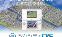 Test Sim City DS