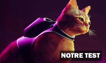 Test Stray : jouer à chat n'a jamais été aussi plaisant