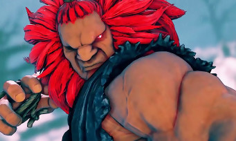 Street Fighter 5 Arcade Edition : un léger retard pour la sortie du jeu sur PS4