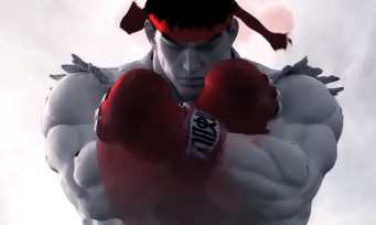 Street Fighter V : Capcom va soutenir le jeu jusqu'en 2020 !