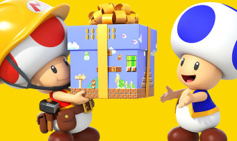 Super Mario Maker 3DS : le jeu ne supportera pas la 3D relief