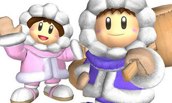 Super Smash Bros. 3DS : la console pas assez puissante pour les Ice Climbers