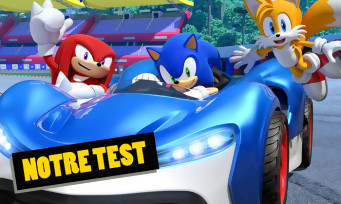 Test Team Sonic Racing : beau hérisson mou du genou