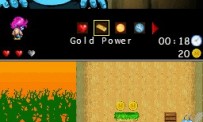 The Dream of Neko annoncé sur DS