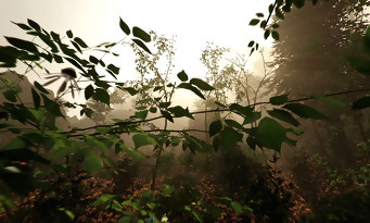 The Forest : le prochain jeu flippant de l'Oculus Rift révèle de nouvelles images