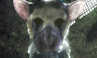 The Last Guardian VR : le jeu sort demain sur PS4, voici les premières images