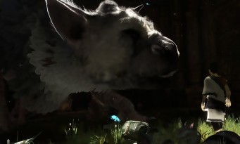 The Last Guardian : "le jeu est toujours en production" selon Shuhei Yoshida