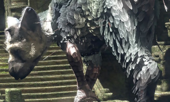 The Last Guardian : Fumito Ueda confirme que le développement avance