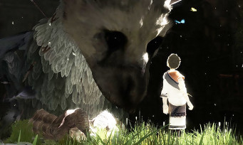 The Last Guardian : il arrive sur PS4 pour début 2016, c'est sûr !