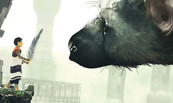 The Last Guardian : voici enfin la jaquette officielle du jeu, et elle est magnifique !