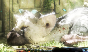 The Last Guardian : le jeu est encore repoussé, et ce n'est pas une blague