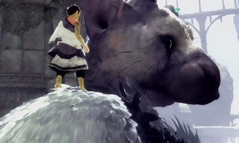 The Last Guardian : quand le comportement de Trico est comparé à celui d'un véritable animal