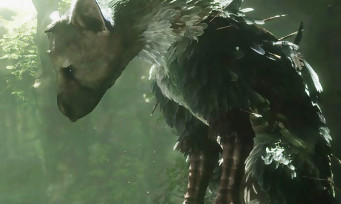 Test The Last Guardian sur PS4 et PS4 Pro