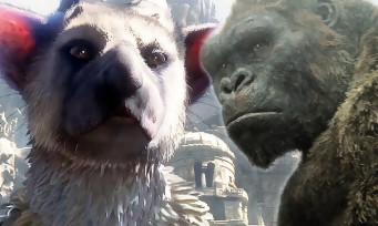 The Last Guardian : un film serait en préparation par le scénariste de King Kong, premiers détails