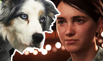 The Last of Us 2 : une nouvelle photo de tournage avec des chiens en tenue de mocap