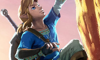 Zelda Breath of the Wild : la chasse et la cuisine expliquées en vidéo