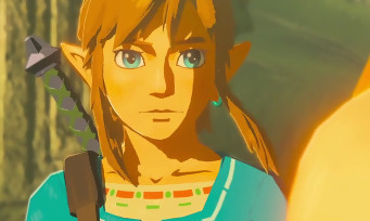 Zelda Breath of the Wild : de nouveaux détails sur l'histoire et les personnages