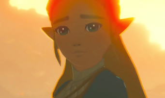 Zelda Breath of the Wild : un artwork où Link déclare son amour à ses fans