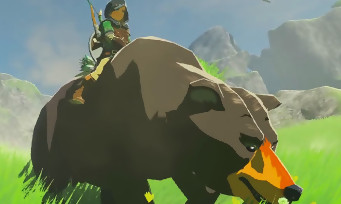 Zelda Breath of the Wild : il existe un ours brun dans Hyrule et on peut le chevaucher !