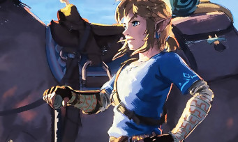 Zelda Breath of the Wild : un joueur atteint le sommet du jeu en lévitant, la vidéo