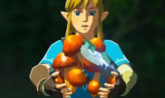 Zelda Breath of the Wild : voici la recette pour cuisiner des plats avec 30 minutes d'améliorations !