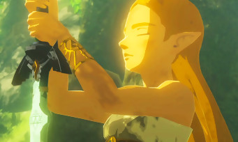 Zelda Breath of the Wild : un Français finit le jeu à 100% en jouant 49h non-stop et le prouve en vidéo !