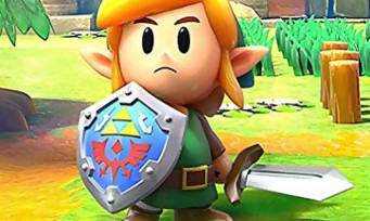 The Legend of Zelda Link's Awakening : deux personnages se dévoilent en vidéo