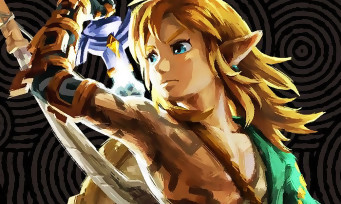 Zelda Tears of the Kingdom : l'artbook a fuité dans son intégralité, attention aux spoilers !