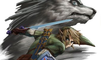 Test The Legend of Zelda Twilight Princess HD sur Wii U