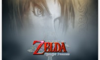 Zelda Wii : nouvelles images