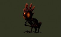 Ryzom : un max d'images