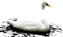 The Unfinished Swan : un premier trailer monochrome !
