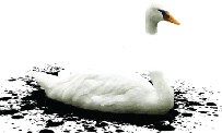 Test The Unfinished Swan sur PS3