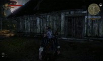 The Witcher 2 - vidéo DLC Troll Touble